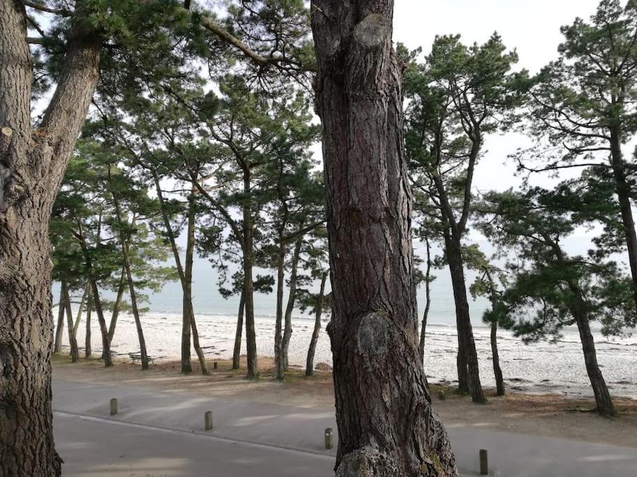 Face A La Mer Fouesnant Esterno foto